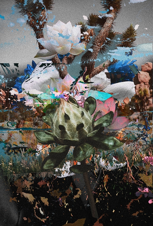 from the series `Mirage`