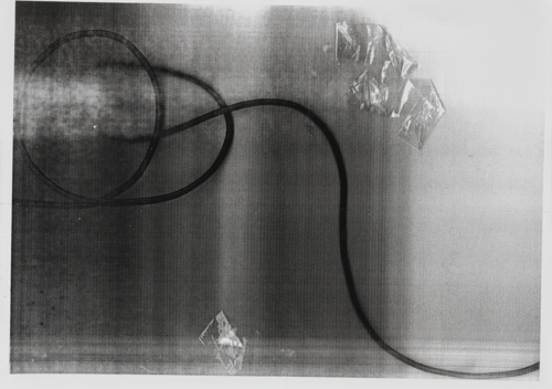 Co-Author 6 by Yeva Kafidova