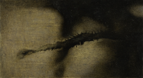 Male Chest by Krystyna Melnyk