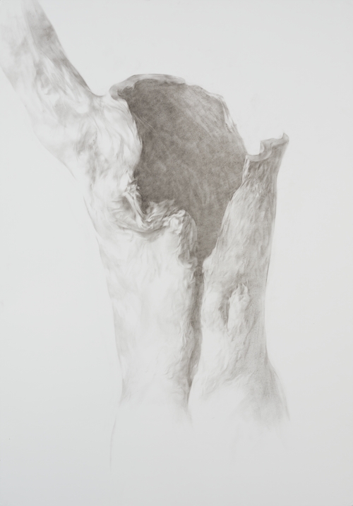 "Body in War" Series