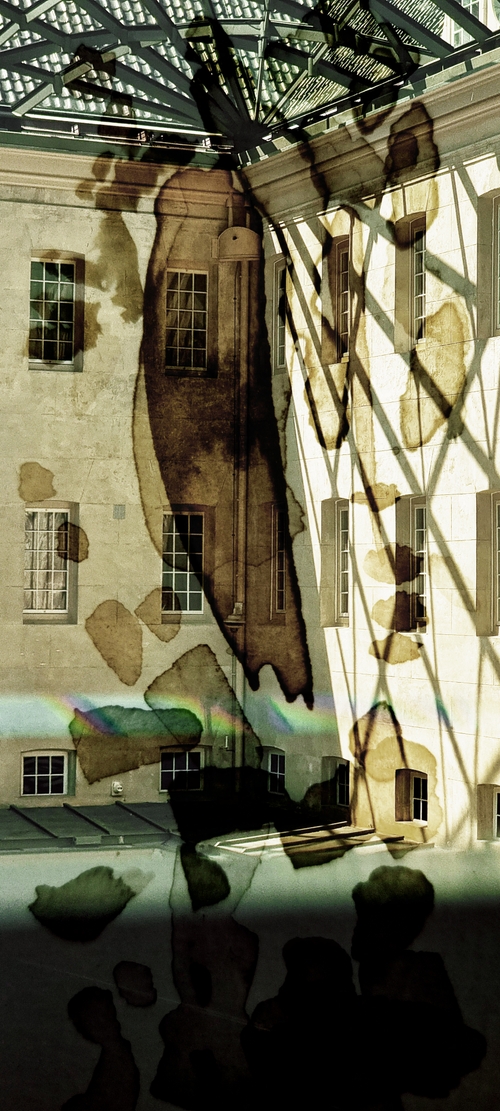 View Through the Palette_6