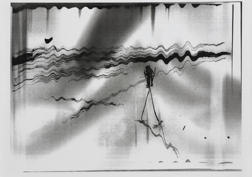 Co-Author 14 by Yeva Kafidova