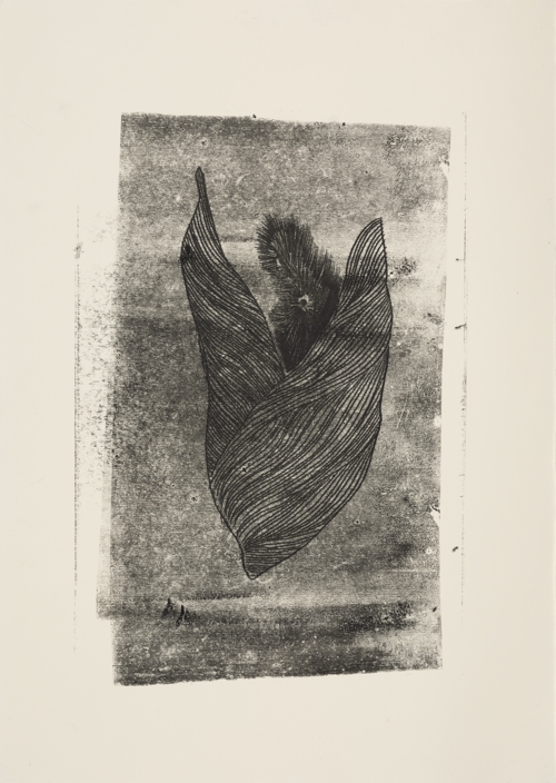 Ultrasound of Butterfly Cocoons 1 by Yeva Kafidova