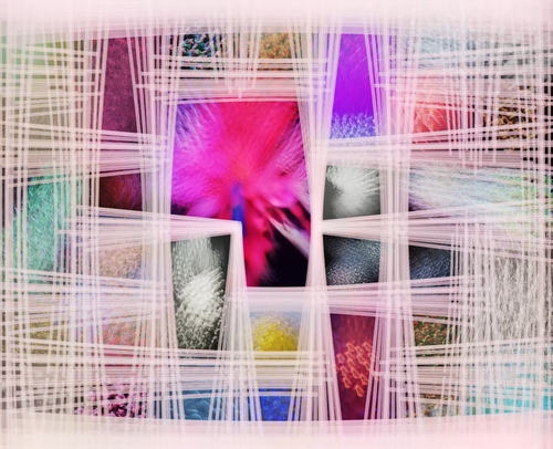 Dreamlike Networks by GALA MIRISSA