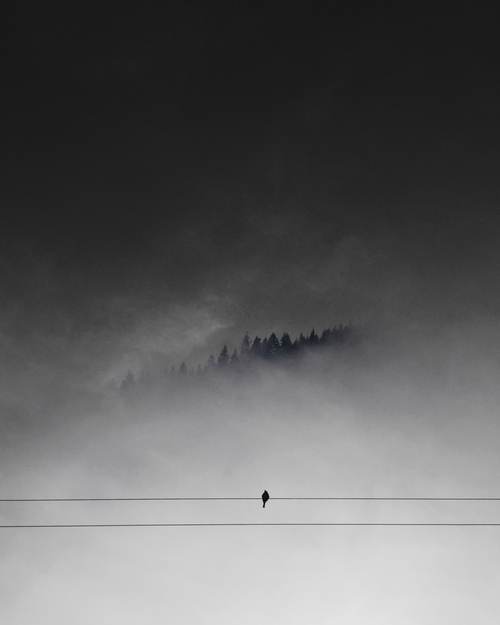 Homesickness by Bit Errror
