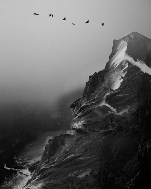 Back Home by Bit Errror