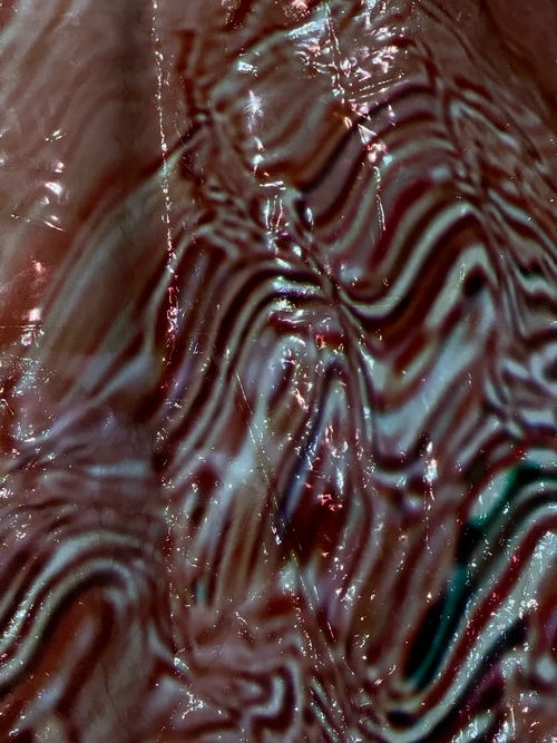 Intertwined Skins: Traces XIV by Zhannet Podobed