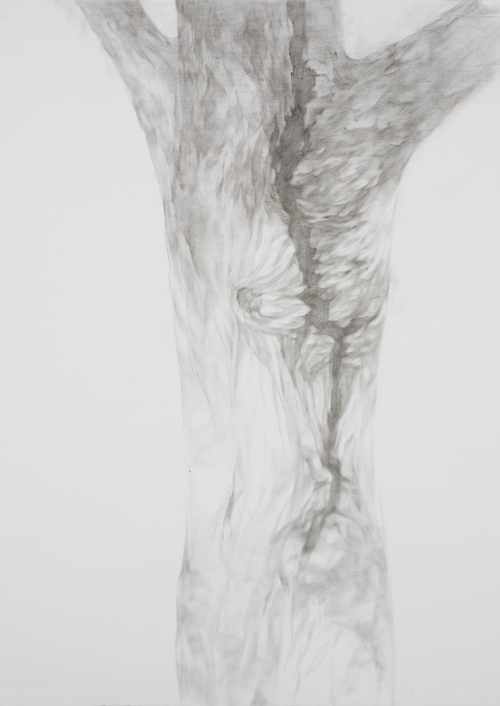 "Body in War" Series