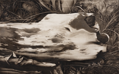 Turned Towards the Sun. From "Among the Wet Trees" Series by Krystyna Melnyk