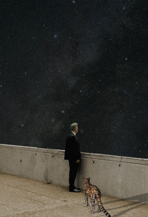 David Lynch Contemplating the Universe by Bit Errror