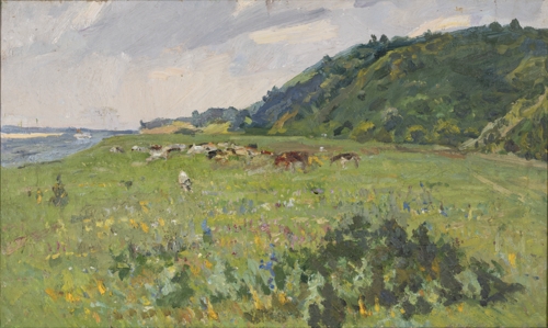 Dnister Meadows by Matvii Kohan-Shats