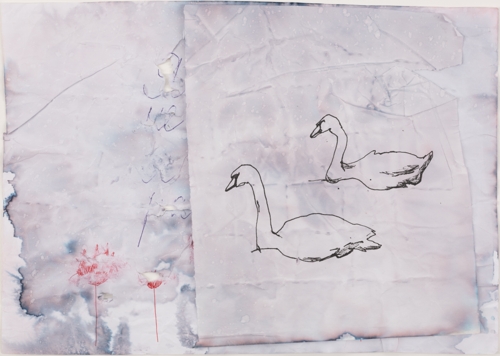 "Washed with Perwoll" Series by Дар'я Молокоєдова