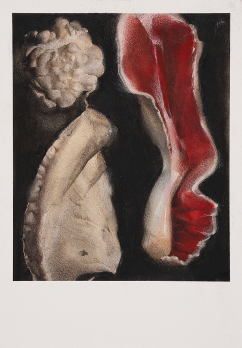 Shell-Shape 1 by Yuliia Holub