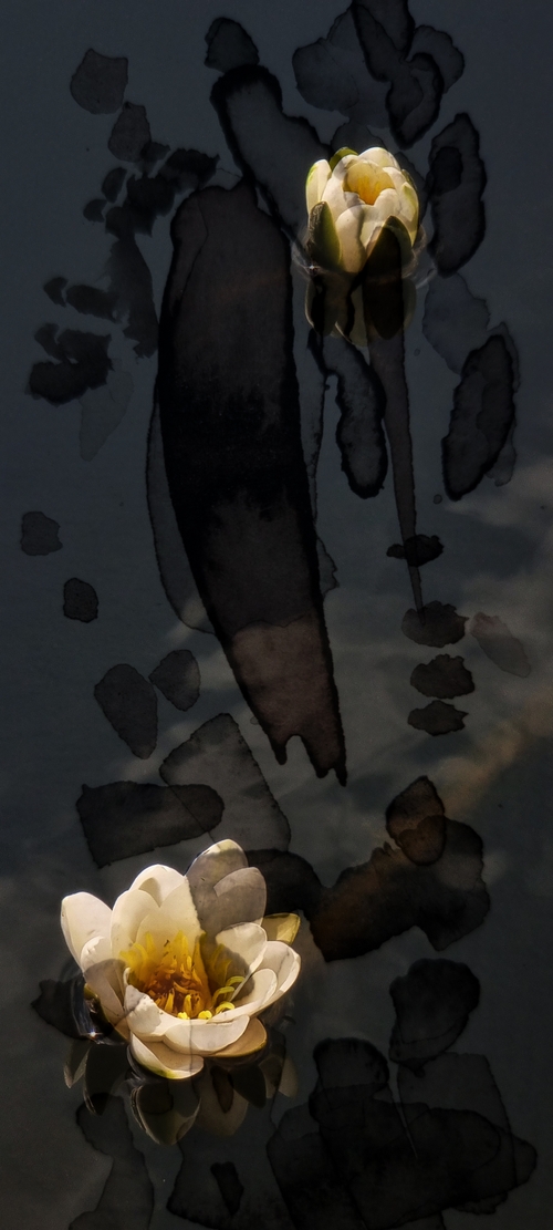 View Through the Palette_2