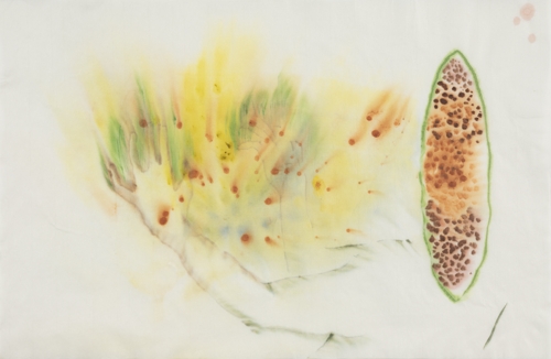 To Catch the Beginning by Yeva Kafidova