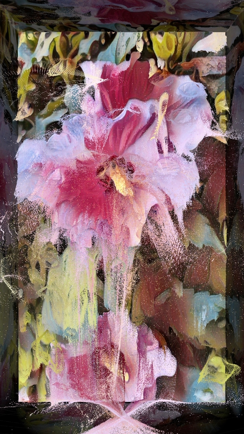 Face Of Universe/Digital Bloomscape