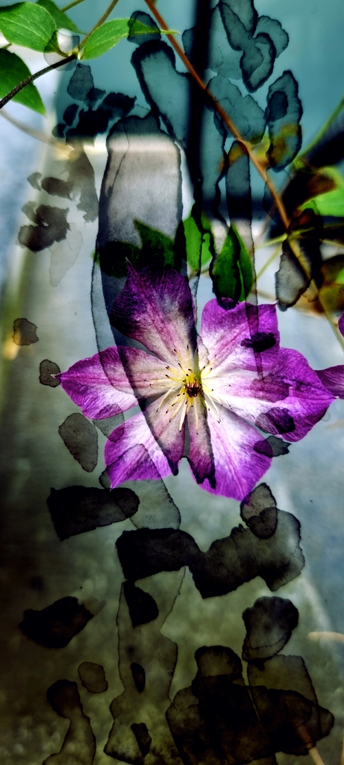 View Through the Palette_8