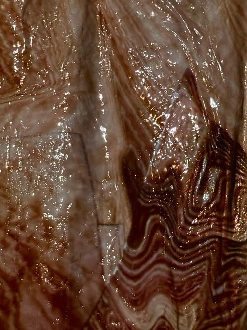 Intertwined Skins: Traces XXII by Zhannet Podobed