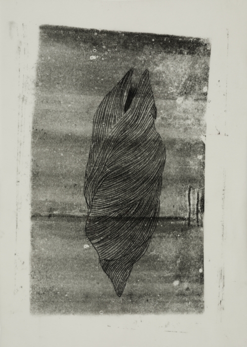 Ultrasound of Butterfly Cocoons 4 by Yeva Kafidova