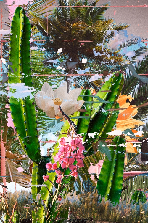 from the series `Mirage`
