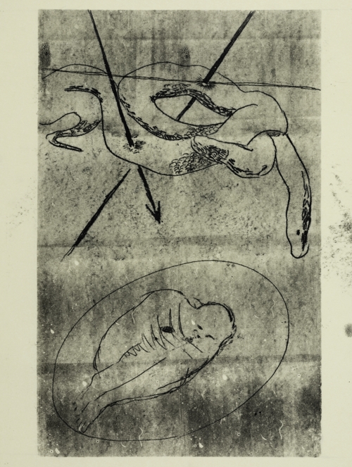 Untitled by Yeva Kafidova