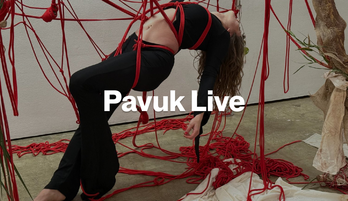 Pavuk Live