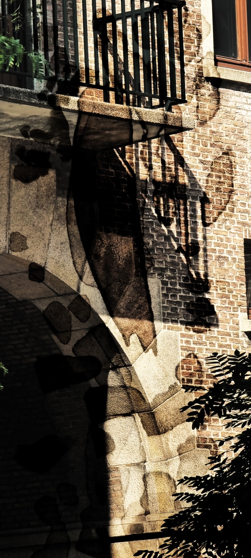 View Through the Palette_7