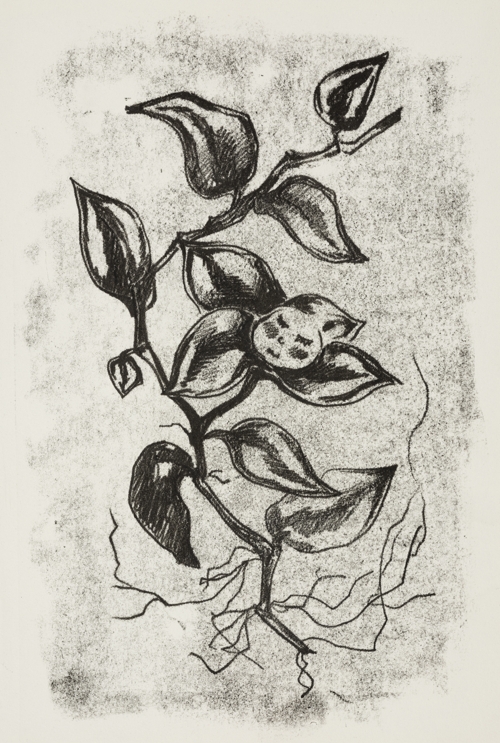 The "WJ" Series by Olena Shtepura