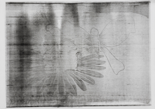 Co-Author 17 by Yeva Kafidova