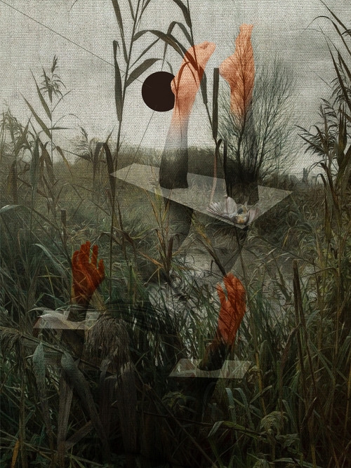Mimicry