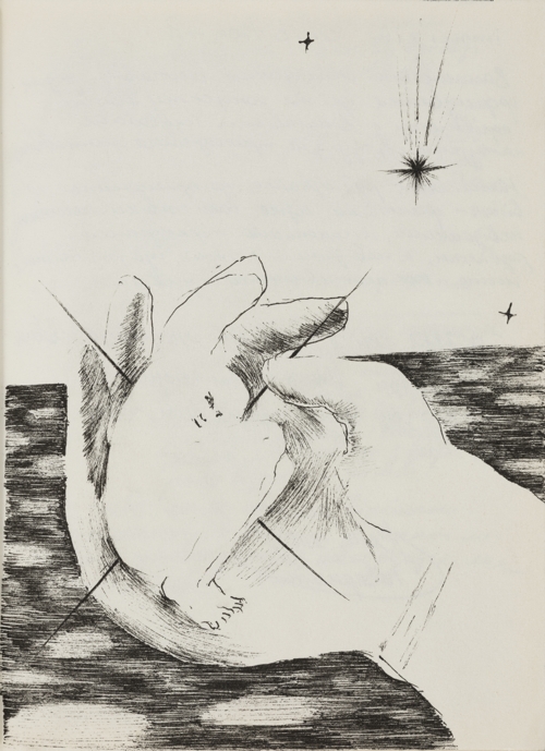 Diary 30 by Yeva Kafidova