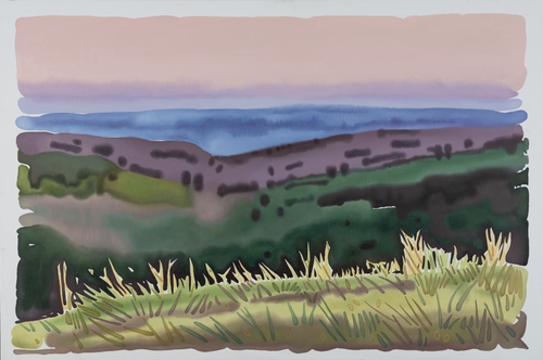 Panorama from the Hill