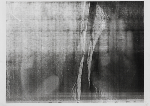 Co-Author 1 by Yeva Kafidova