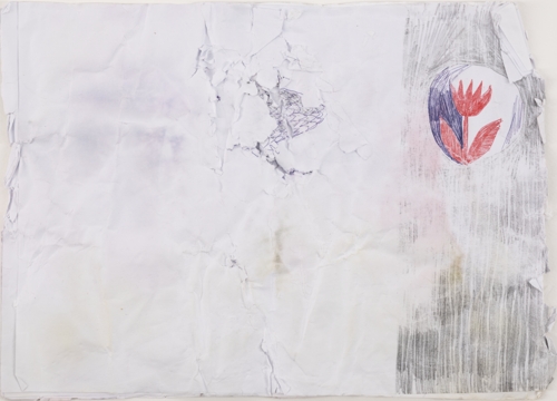 "Washed with Perwoll" Series by Дар'я Молокоєдова