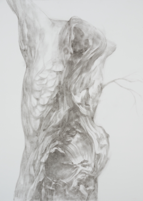 "Body in War" Series