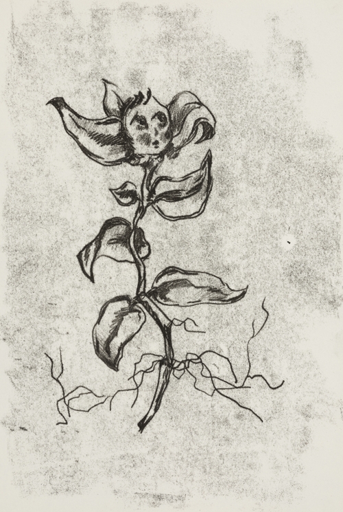 The "WJ" Series by Olena Shtepura