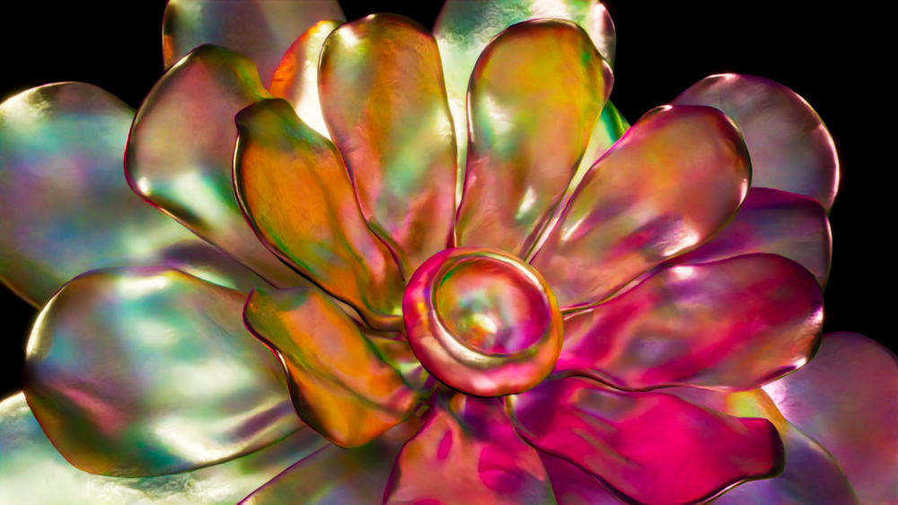 Chromatic Flower