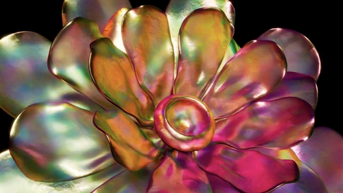 Chromatic Flower