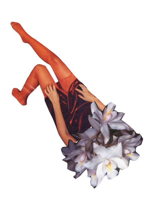 Blossom