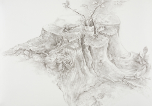 "A Tree That Holds Fast to the Ground" Series