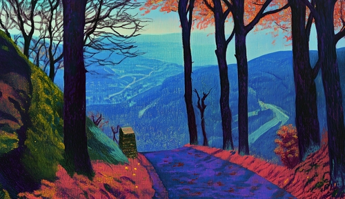 Road down from Macclesfield forest at dusk by Chodon O'Leary