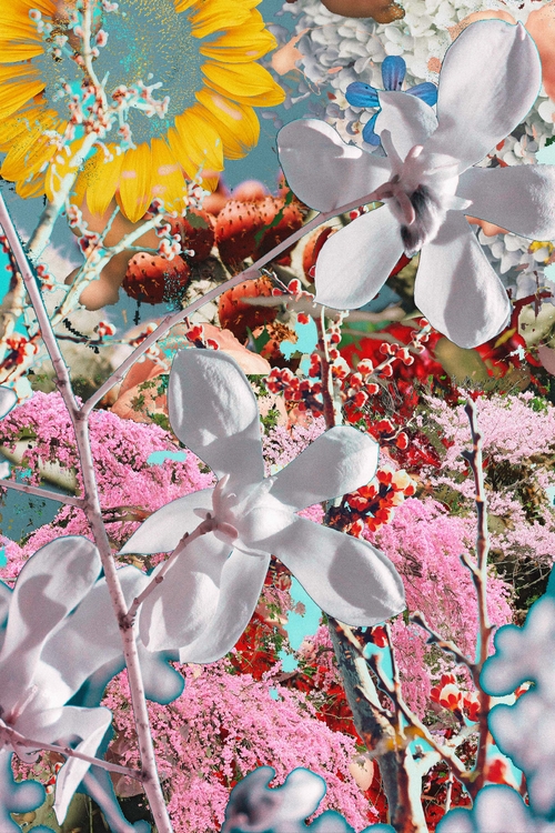 from the series `Mirage`