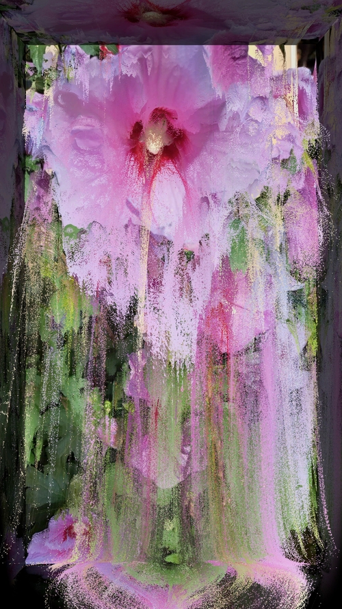 Face Of Universe/Petal Vortex