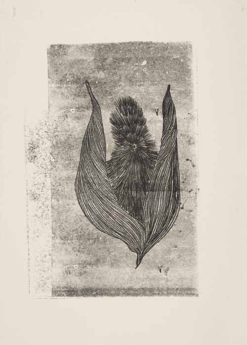 Ultrasound of Butterfly Cocoons 2 by Yeva Kafidova