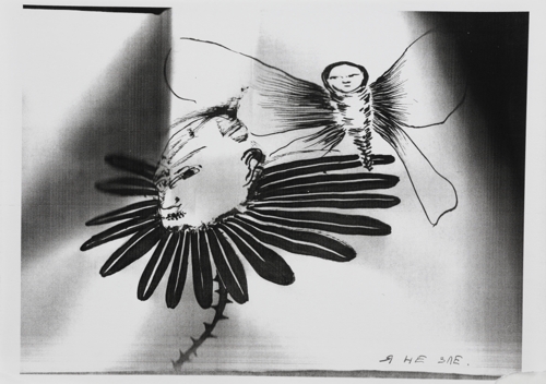 Co-Author 11 by Yeva Kafidova