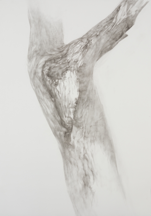 "Body in War" Series