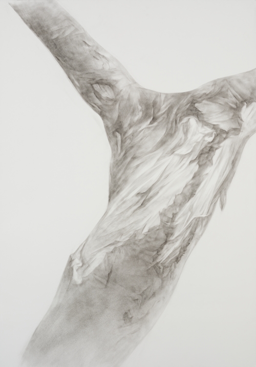 "Body in War" Series