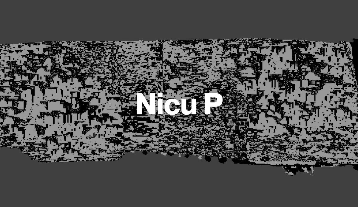 Nicu P