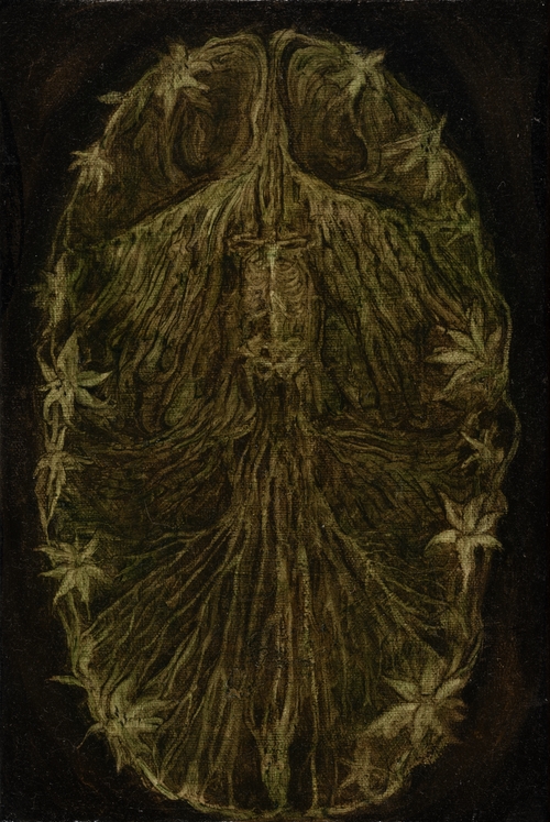 Viscera