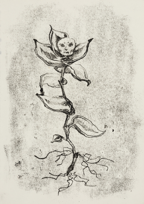 The "WJ" Series by Olena Shtepura